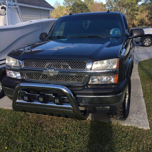 Meet your Posher, Colton - Picture 1 of 1